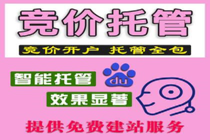 竞价代运营案例剖析：如何提高广告转化率